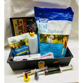 KID SURVIVAL KIT